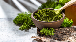 Chlorella