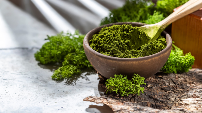 Chlorella