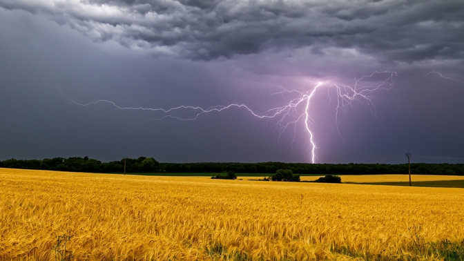 Ozve-li se v září hrom, bude v zimě zavát každý strom.
