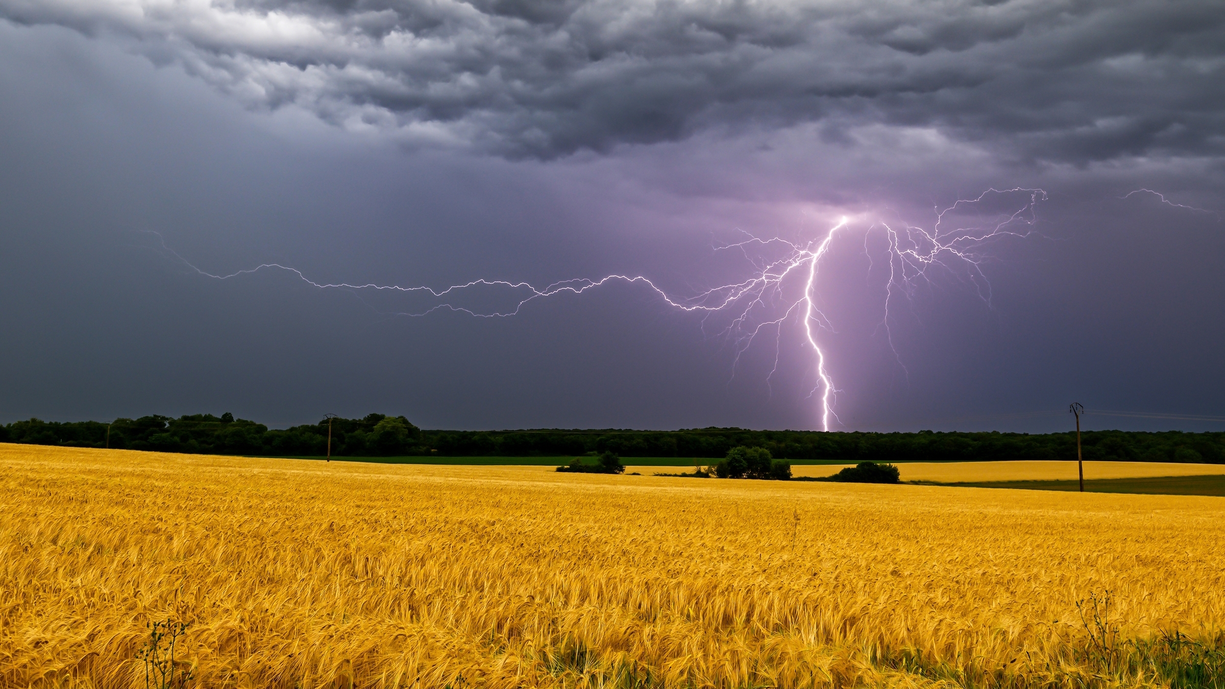 Ozve-li se v září hrom, bude v zimě zavát každý strom.