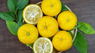 Yuzu Yuzu
