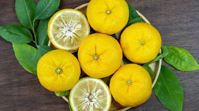 Yuzu