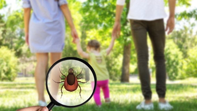 Pozor na klíšťata. Začíná teplo, nezapomeňte na prevenci pro celou vaší rodinu
