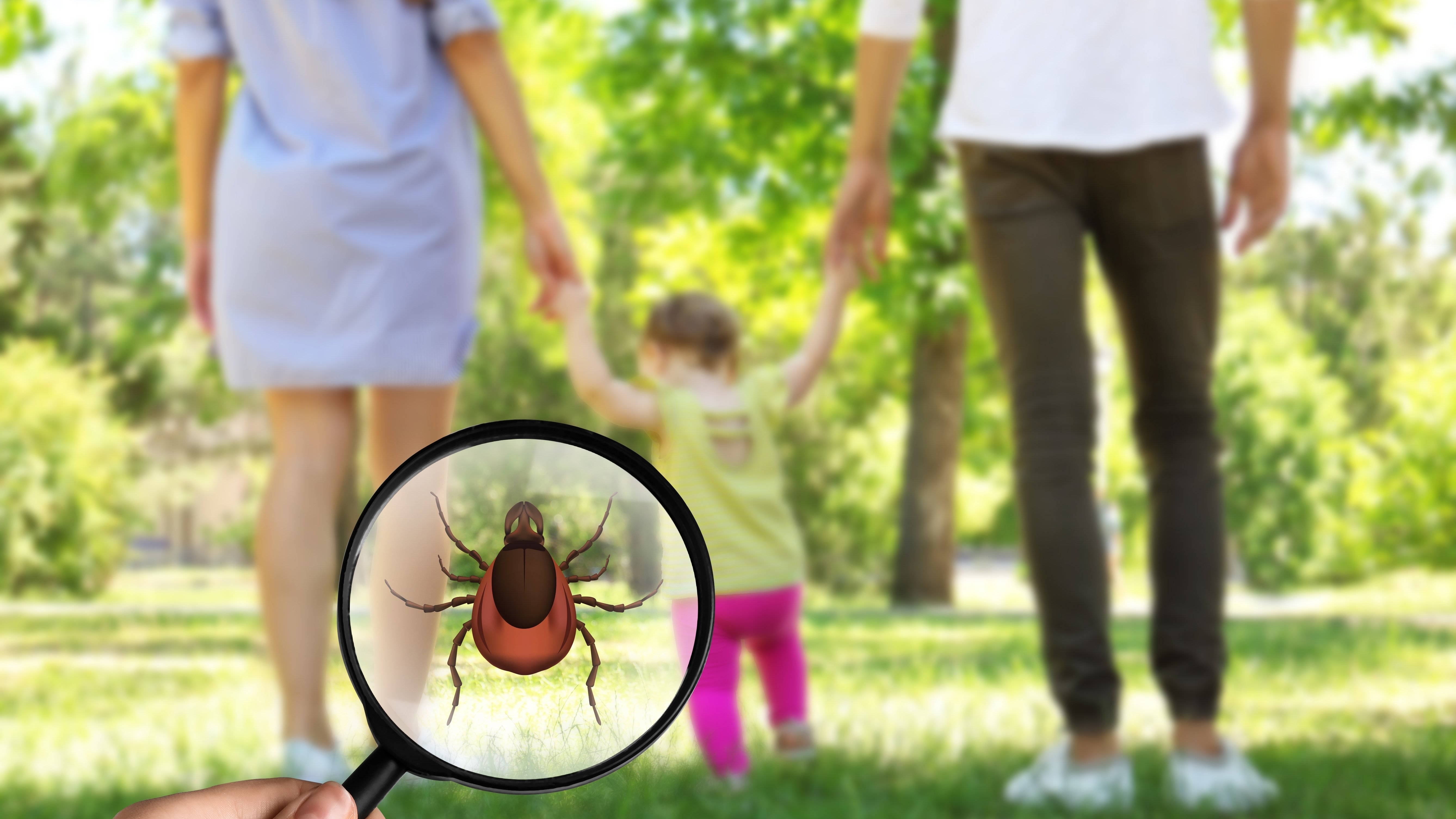 Pozor na klíšťata. Začíná teplo, nezapomeňte na prevenci pro celou vaší rodinu