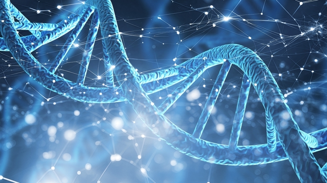 Biologie, DNA