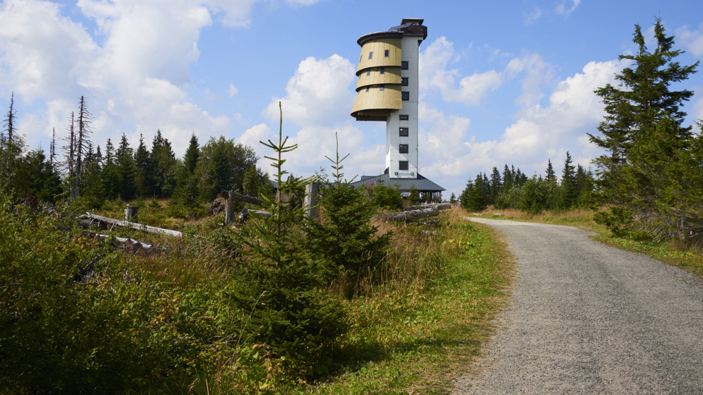 Poledník