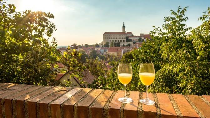 Burčák