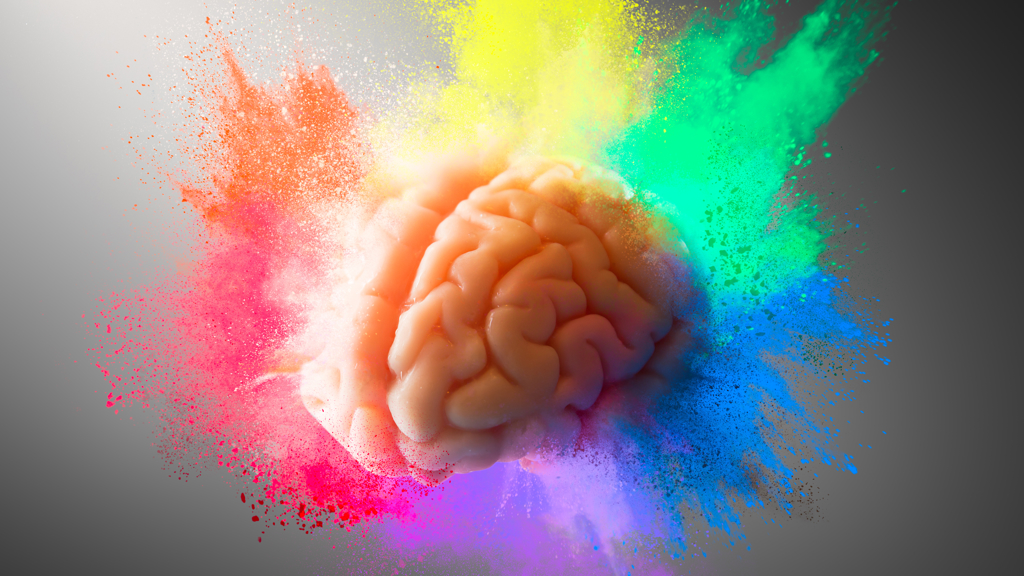Test barev mozek Test barev mozek