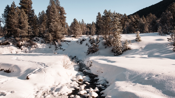 Šumava