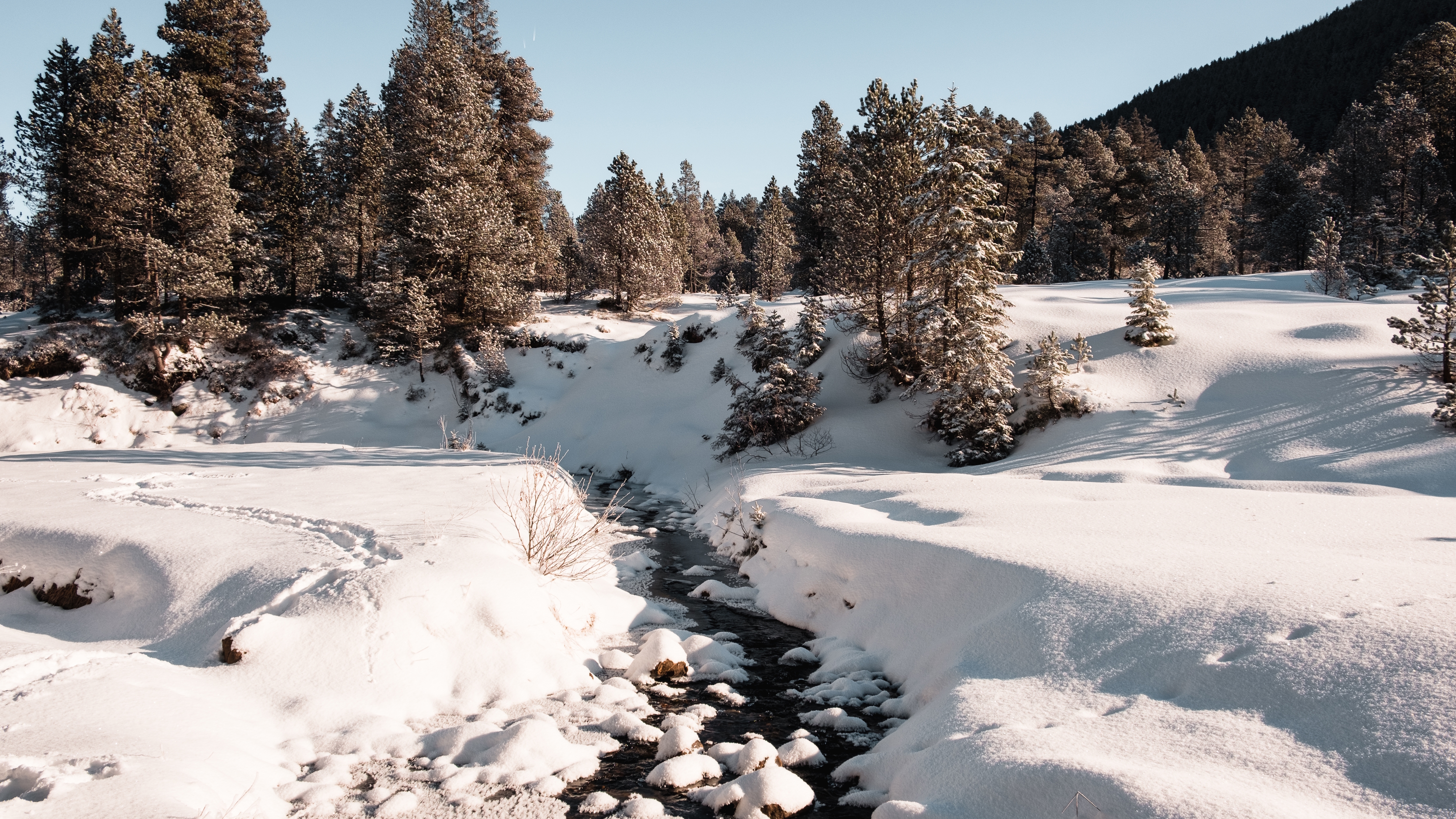 Šumava
