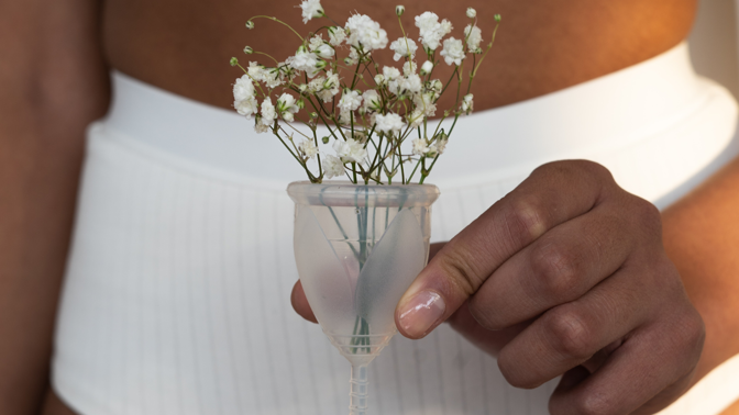 Menstruace Menstruace