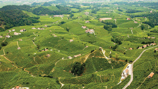 Cestovatelský deník Dominiky B. – Nejlepší Prosecco z Valdobbiadene