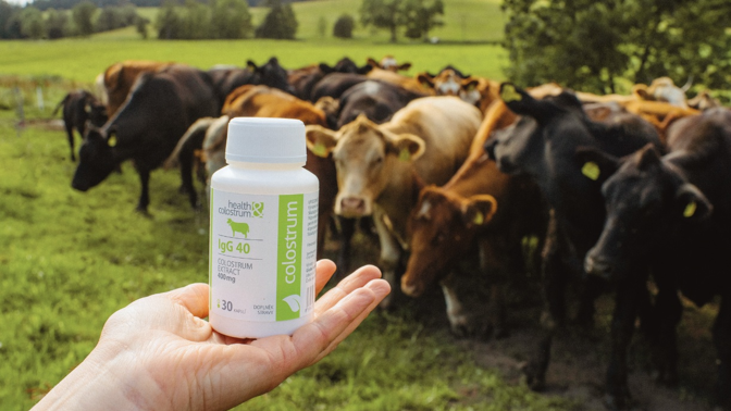 Colostrum
