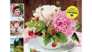 Venkov a styl 2013/2