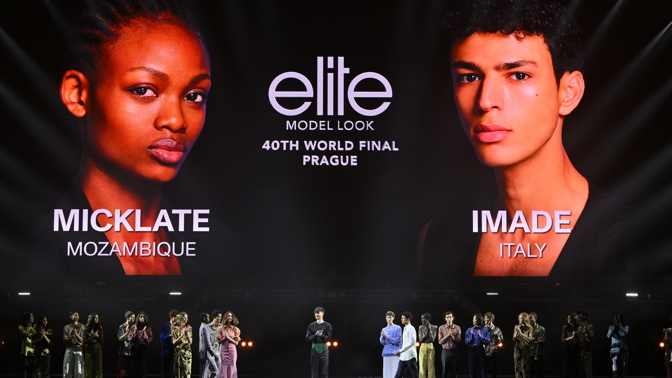 Schwarzkopf Elite Model Look