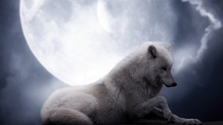 Pixabay