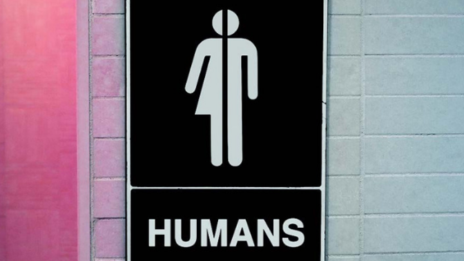 Gender Gender