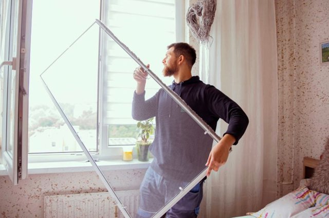 Komáři nejsou jediný problém. V létě vás doma potrápí i vosy a mouchy, stačí pár drobných chyb Komáři nejsou jediný problém. V létě vás doma potrápí i vosy a mouchy, stačí pár drobných chyb