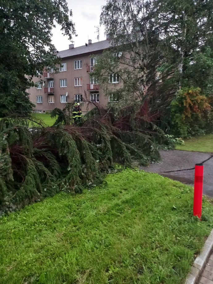 Mohutný jehličnan spadl těsně vedle bytovky, hasiči museli kmen okamžitě rozřezat.
