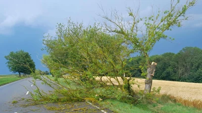 FOTO: Spadané stromy a polámané větve omezily po silných bouřkách dopravu na řadě míst v kraji.