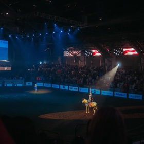 Podle některých příznivců národního týmu připomínal program našich fotbalistů spíše pohodovou dovolenou.
