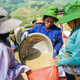 Farmáři ve Vietnamu po generace obdělávali půdu, kde teď vyroste Trumpův golfový resort. Za vyvlastněnou půdu dostanou hrst drobných a rýži.