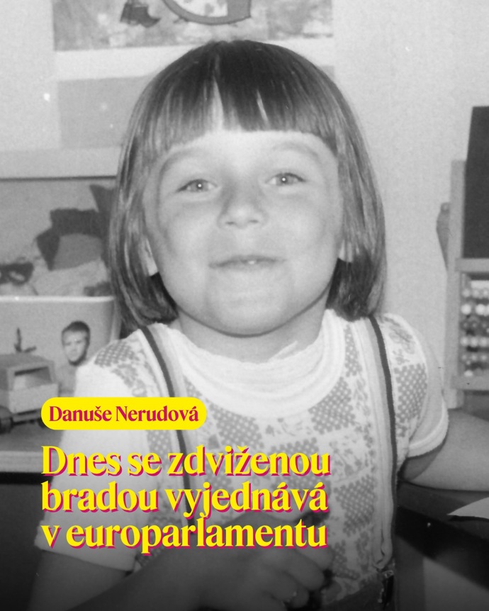„Dnes se zdviženou bradou vyjednává v europarlamentu,“ uvádí hnutí STAN na svém Instagramu k fotografii Danuše Nerudové. 