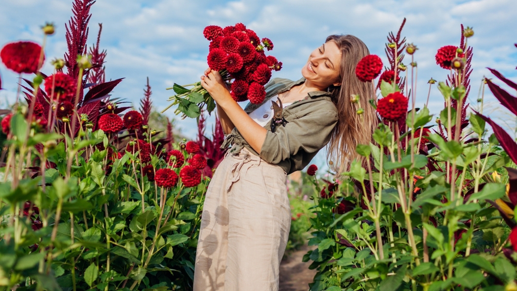 Květinová farma Květinová farma