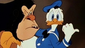 Kačer Donald Kačer Donald