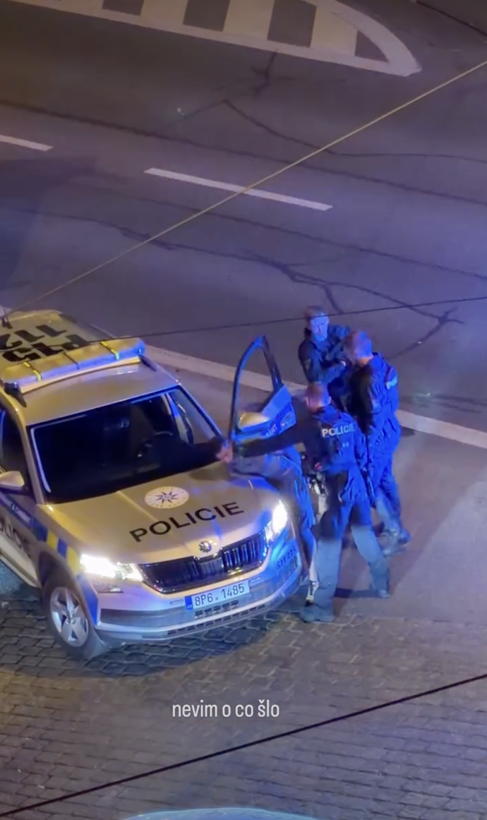Policisté muže zpacifikovali.
