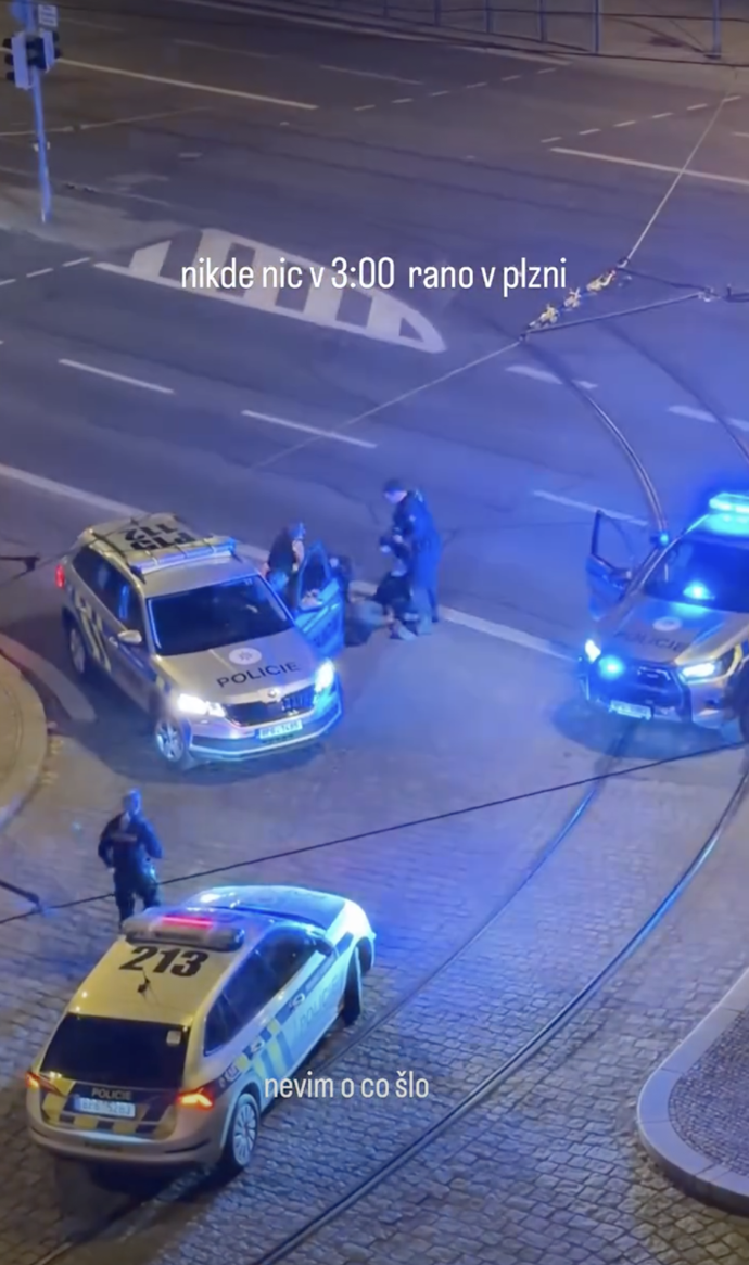 Proto se policie uchýlila k násilí.