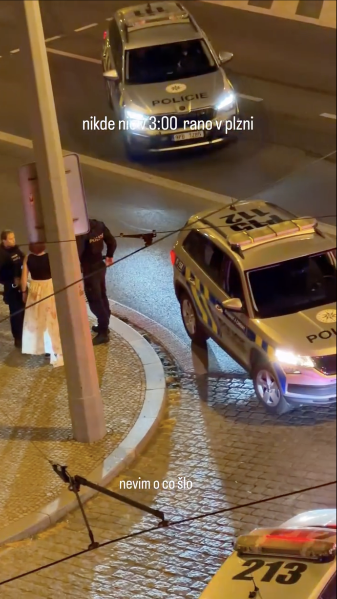 Podle vyjádření Plzeňské policie, muž nespolupracoval.