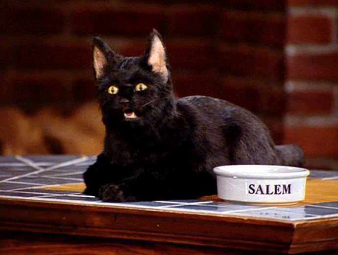 Kocour Salem bavil diváky sarkastickými poznámkami a nezapomenutelným smyslem pro humor. Jeho role v seriálu Sabrina patří dodnes mezi nejvýraznější zvířecí postavy televizní historie. Kocour Salem bavil diváky sarkastickými poznámkami a nezapomenutelným smyslem pro humor. Jeho role v seriálu Sabrina patří dodnes mezi nejvýraznější zvířecí postavy televizní historie.