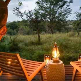 Můžete se  vypravit nejen za africkou velkou pětkou, ale i za sněžnými liškami, losy a medvědy