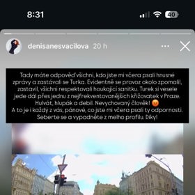 Denisa Nesvačilová si nebrala servítky.