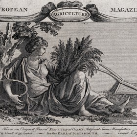 ilustrace 