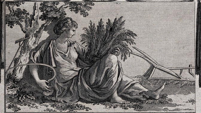 ilustrace 
