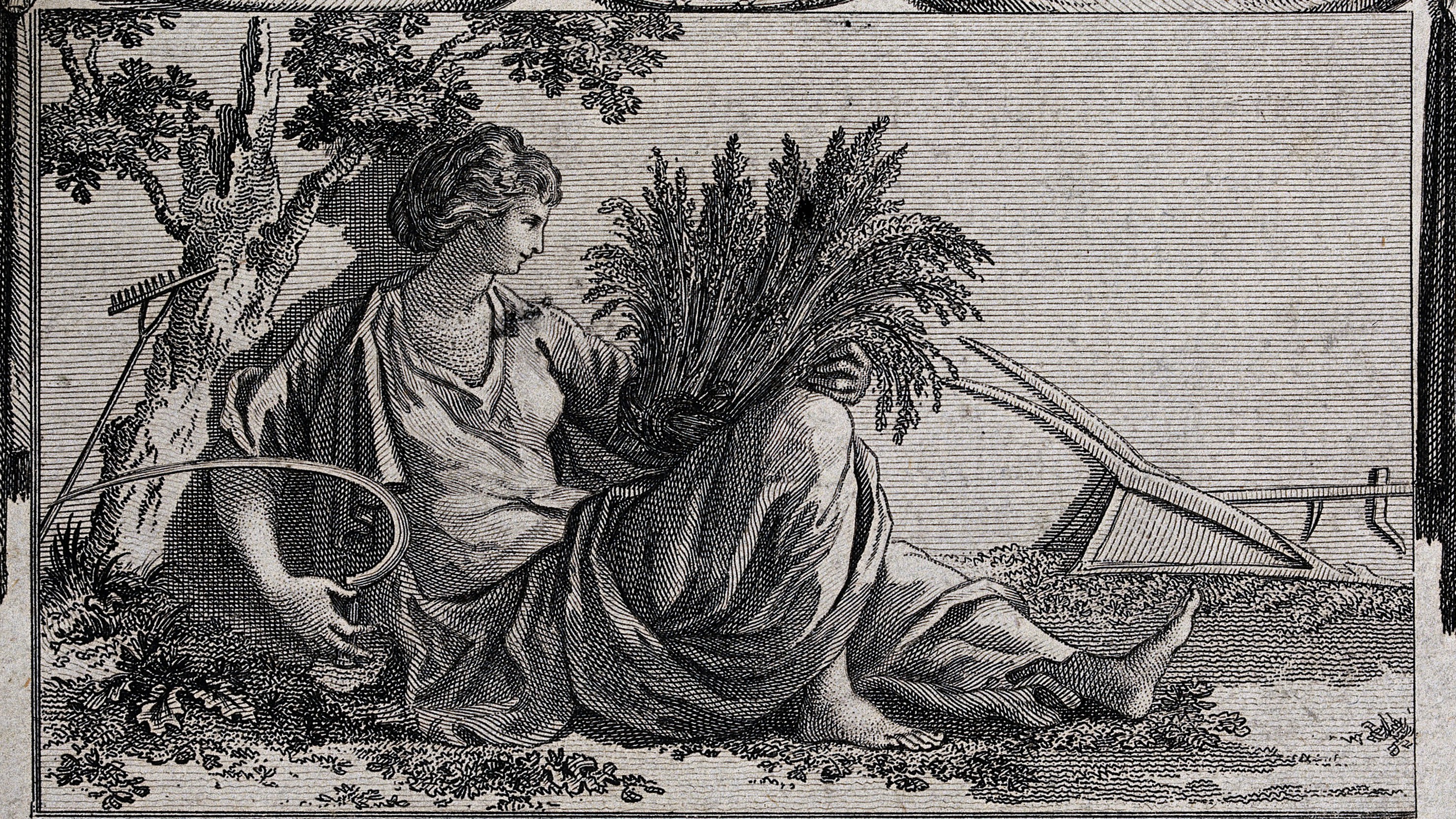 ilustrace 
