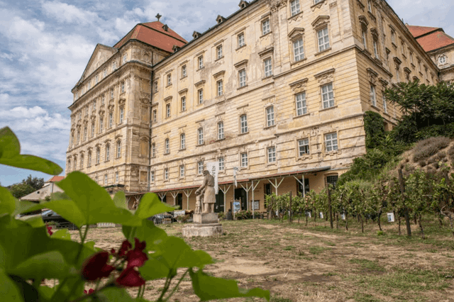 Letní cestování za vínem: Nemusíte čekat až na vinobraní. Znojemská vinařství zvou o prázdninách na degustace v nevšedních kulisách Letní cestování za vínem: Nemusíte čekat až na vinobraní. Znojemská vinařství zvou o prázdninách na degustace v nevšedních kulisách