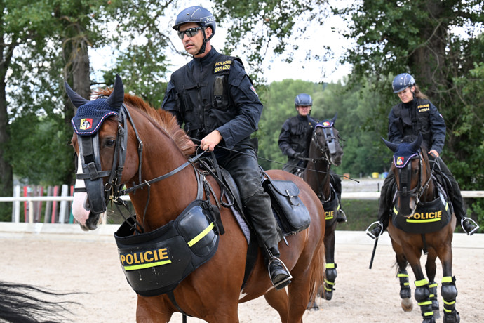 Policejní hlídky na koních.
