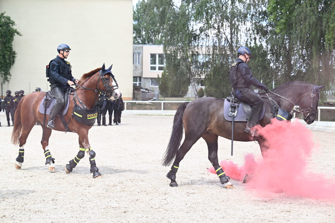 Nácvik policejních hlídek na koních.