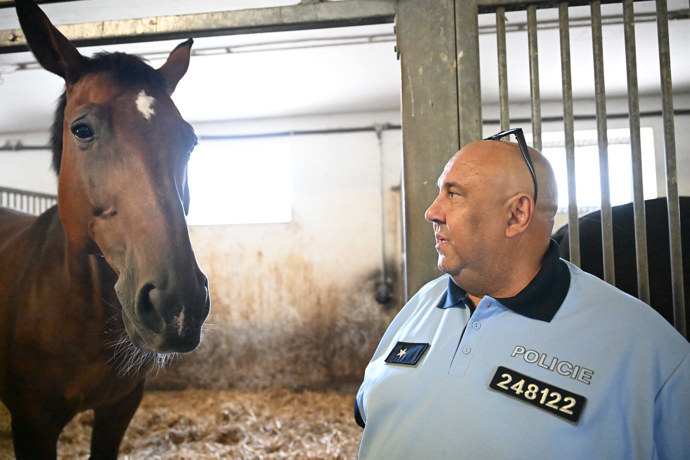 Policista s koněm v policejních stájích v Troji.