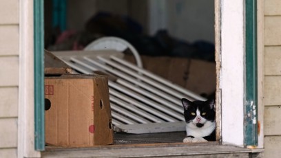FOTO: Kočka v domě hrůzy v Ohiu.
