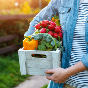 Paprika, brokolice, rybíz nebo citrusové plody patří mezi nejlepší přírodní zdroje vitaminu C. Samotná strava ale nestačí – pro zdravý mozek jsou stejně důležité pravidelný pohyb, kvalitní spánek i duševní aktivita. Paprika, brokolice, rybíz nebo citrusové plody patří mezi nejlepší přírodní zdroje vitaminu C. Samotná strava ale nestačí – pro zdravý mozek jsou stejně důležité pravidelný pohyb, kvalitní spánek i duševní aktivita.