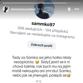 Jeden z uživatelů pak Denisu Nesvačilovou zkritizoval.