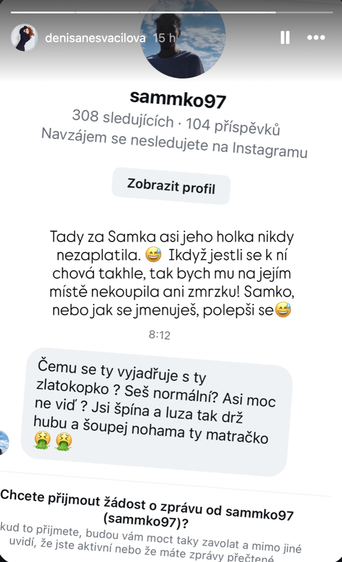 Jeden z uživatelů pak Denisu Nesvačilovou zkritizoval.