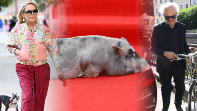 FOTO: Rušná kolonáda.