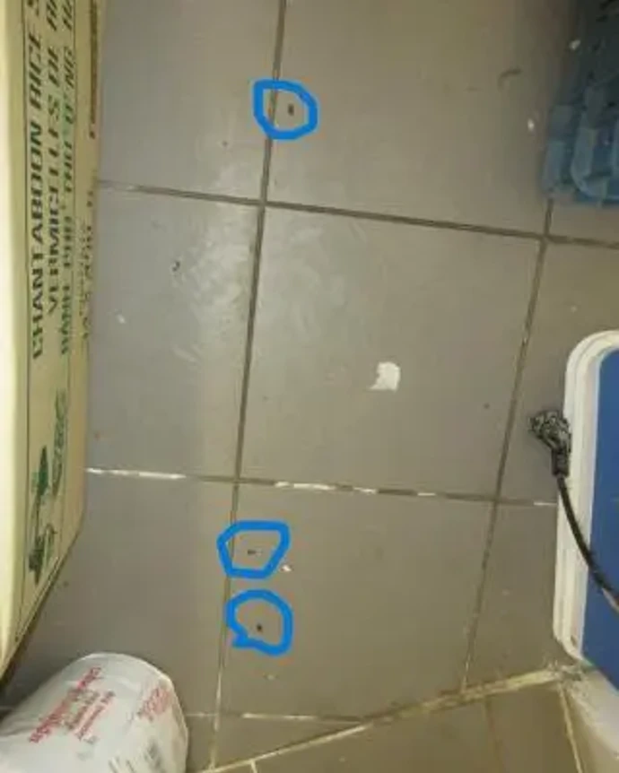 Znečištění a plno hmyzu všude.