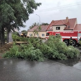 Silný vítr během bouřek lámal stromy a větve.