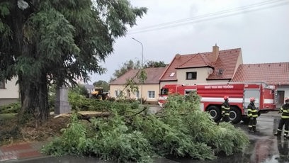 FOTO: Silný vítr během bouřek lámal stromy a větve.